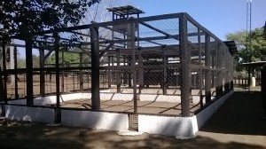 Finca 015