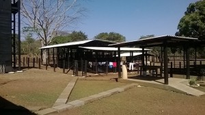 Finca 022