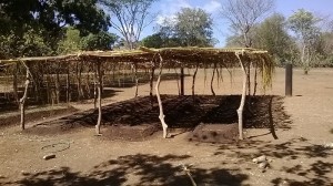 Finca 039
