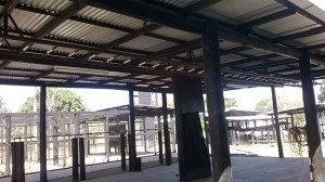 Finca 042