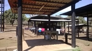 Finca 043