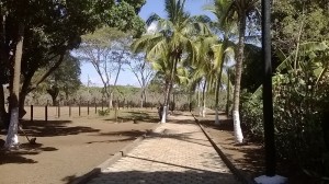 Finca 045