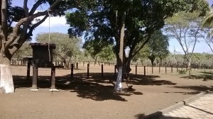 Finca 046
