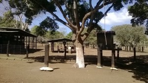 Finca 047