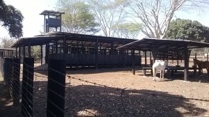 Finca 053