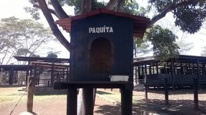 Finca 054