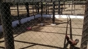 Finca 059