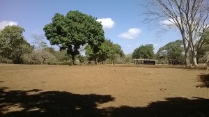 Finca 062