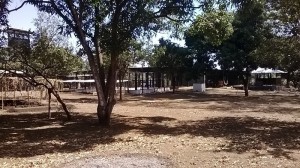 Finca 063