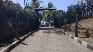 Finca 066