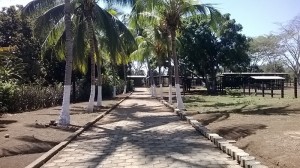 Finca 067