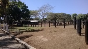 Finca 068